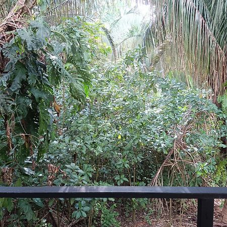 Selva Linda Lodge Vacation Rentals Quepos Kültér fotó