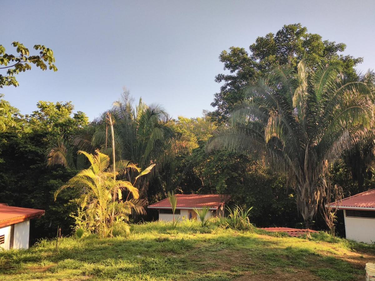 Selva Linda Lodge Vacation Rentals Quepos Kültér fotó