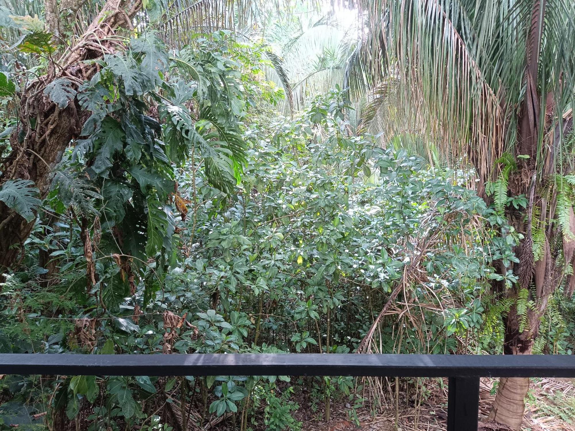 Selva Linda Lodge Vacation Rentals Quepos Kültér fotó