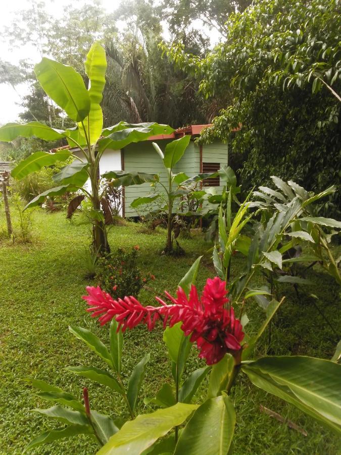 Selva Linda Lodge Vacation Rentals Quepos Kültér fotó